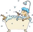 Visit Desert Rose Goat Milk Soap!